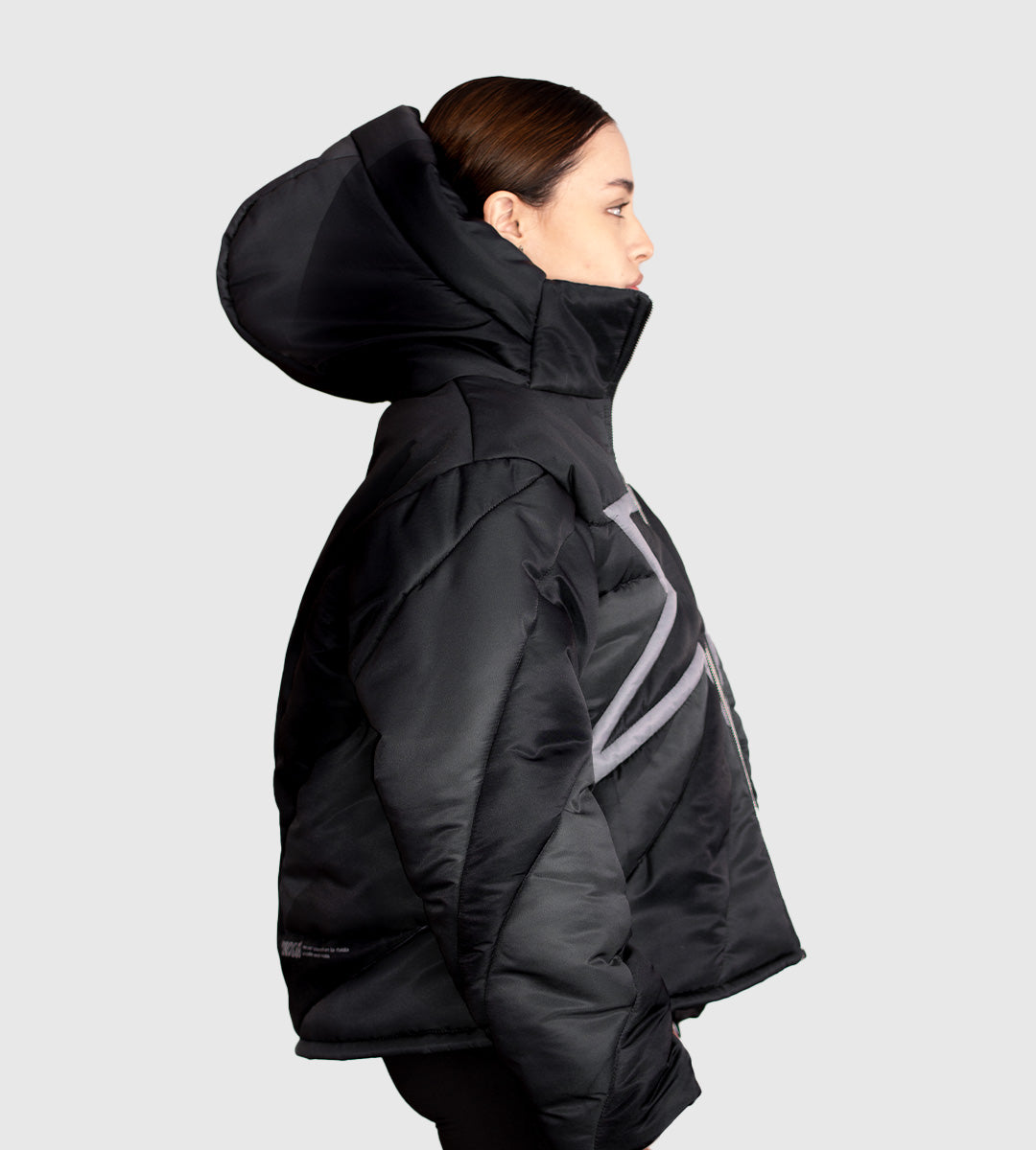 Puffer Starship Blackmoom