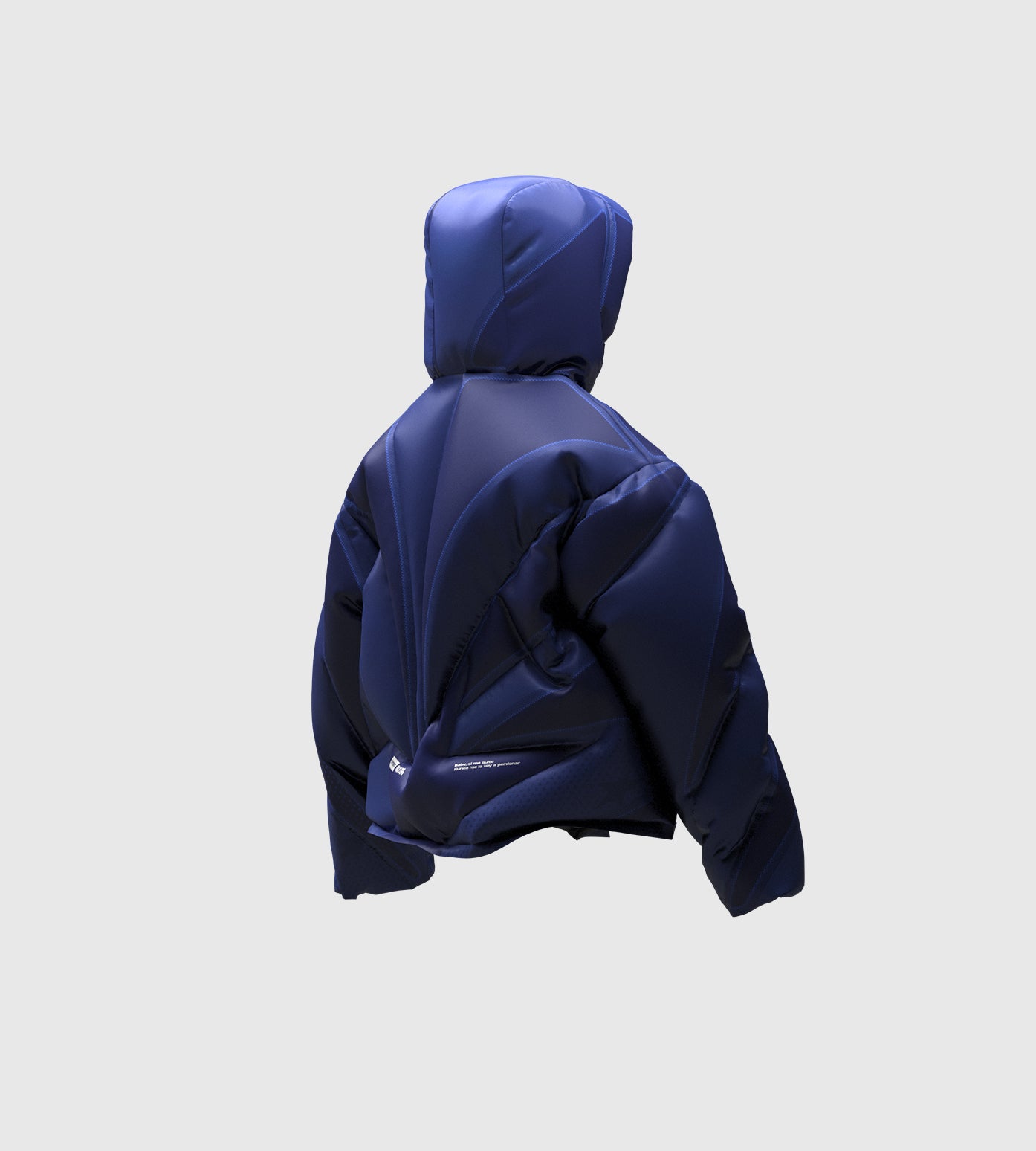 Puffer Starship blue