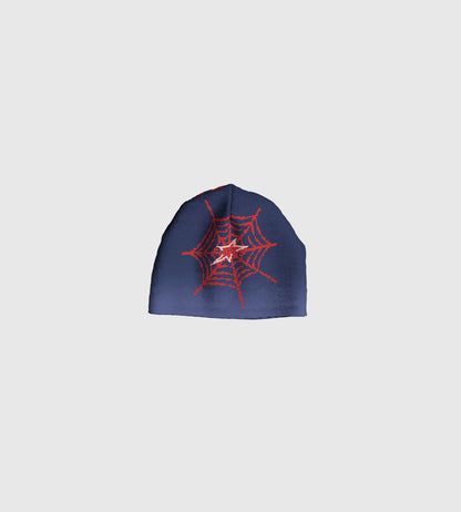 Beanie Spidy