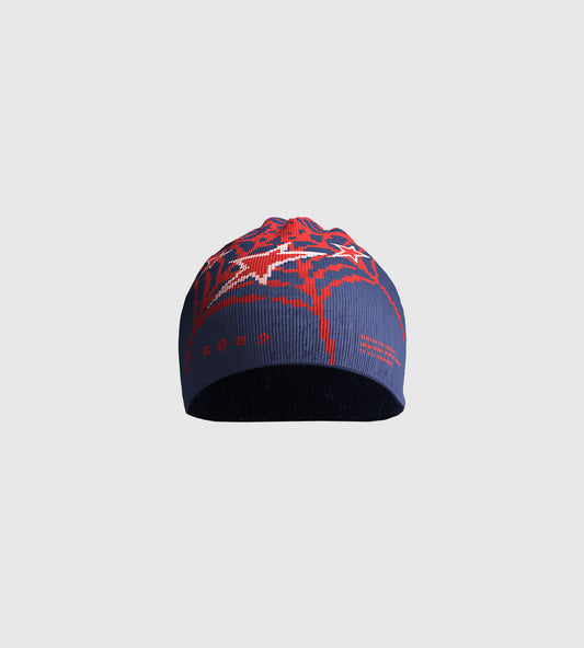 Beanie Spidy