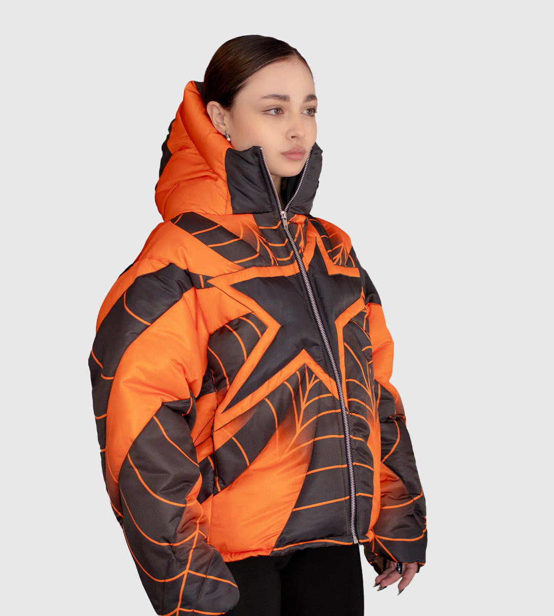Puffer Starship Spider